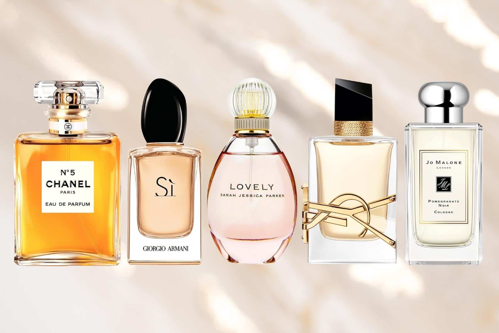 Nebras Perfume  : Discover Exquisite Fragrances